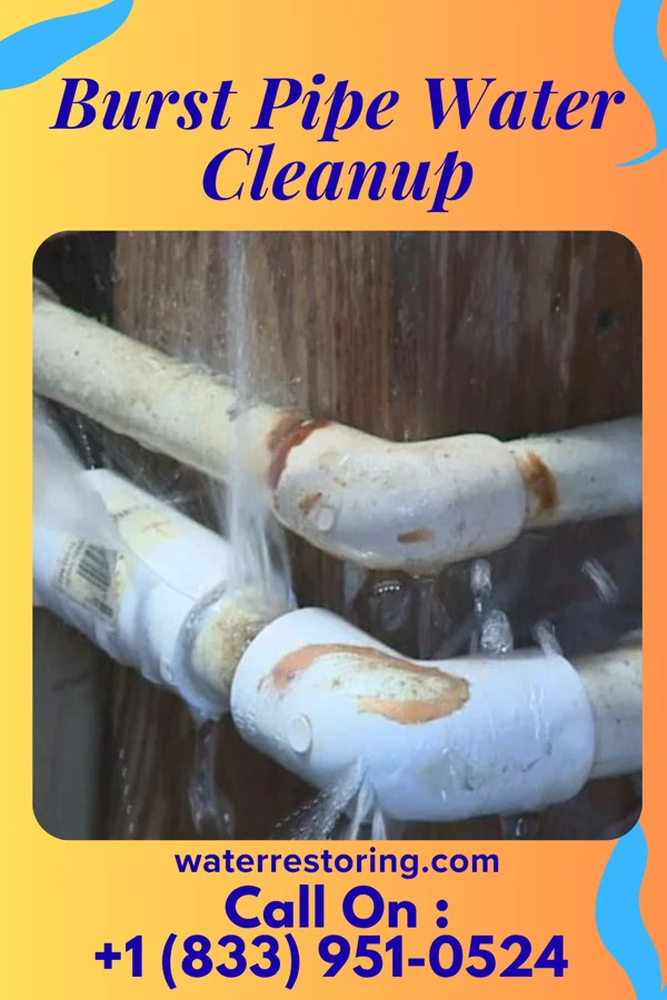 Burst Pipe Water Cleanup in Bridgetown, OH