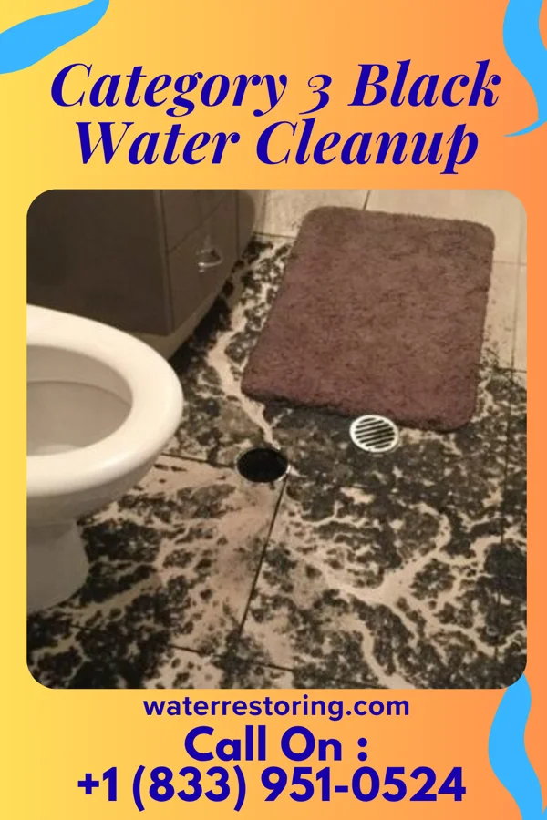 Category 3 Black Water Cleanup in Bridgetown, OH