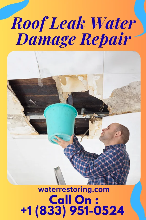 Roof Leak Water Damage Repair in Bridgetown, OH