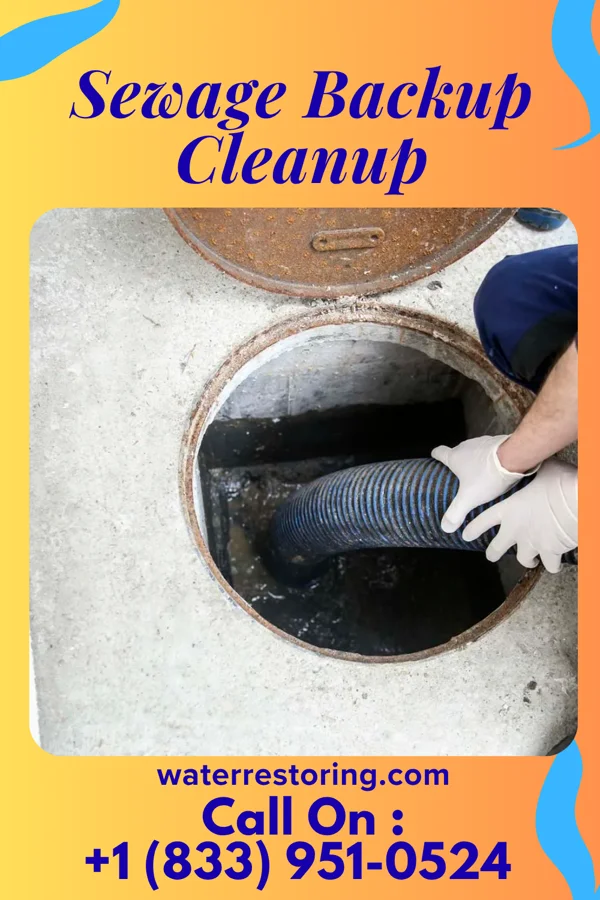 Sewage Backup Cleanup in Bridgetown, OH